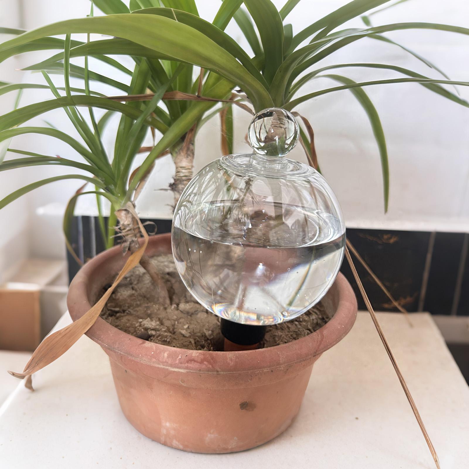 Plant Watering Bulbs 4pcs 500m - Automatic Plant Waterer review and price