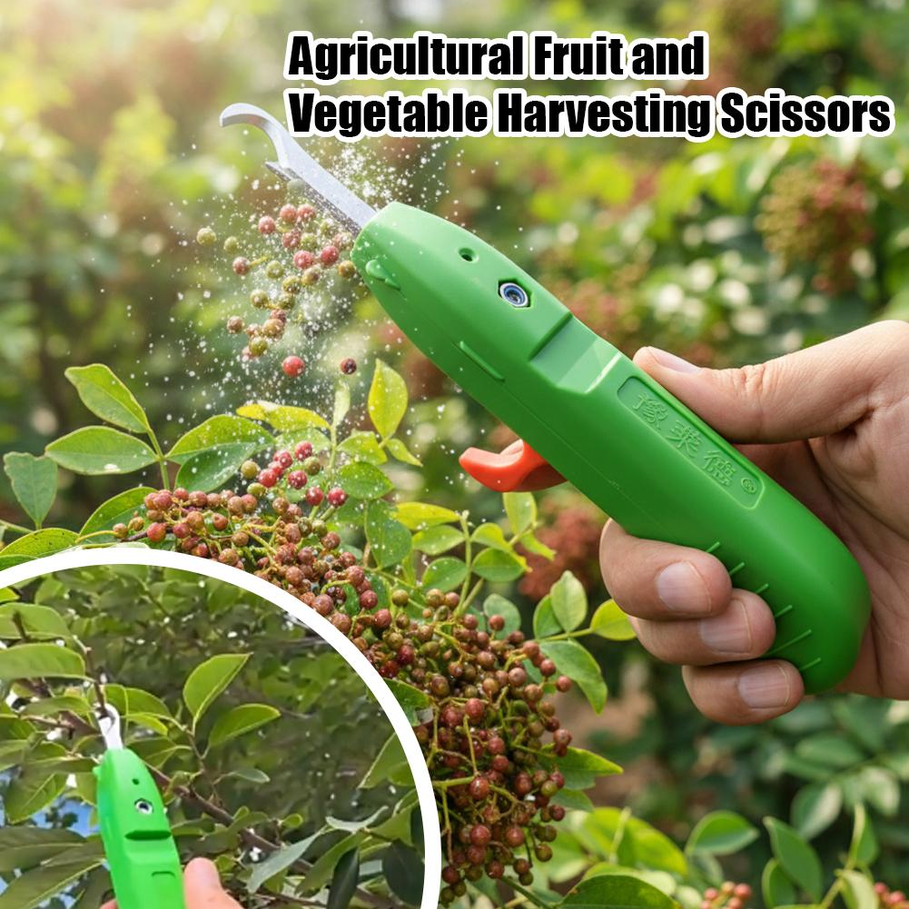 Fruit And Vegetable Picking Sh - Gardening Tools Vegetables review and price