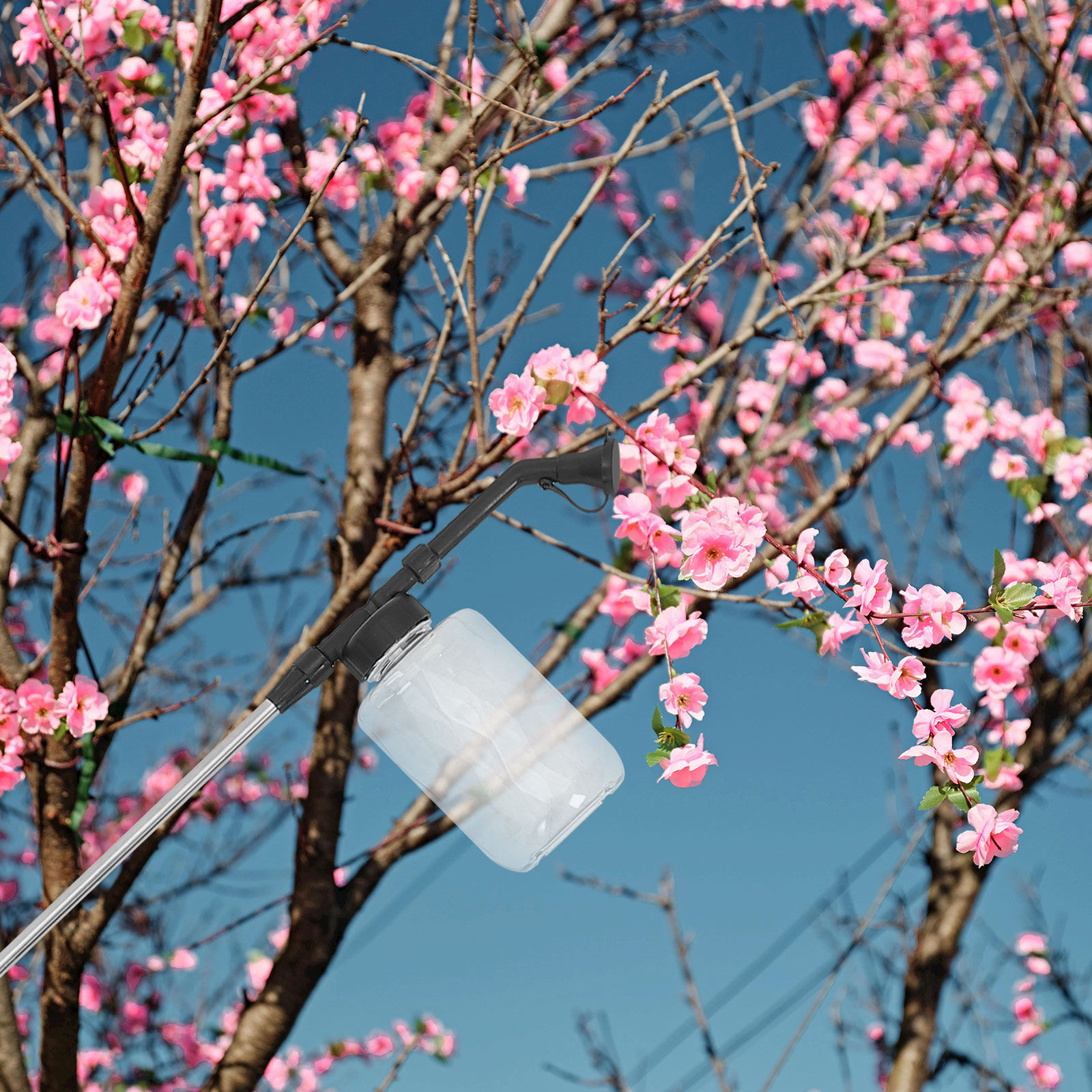 Manual Pollination Stick Handh - Gardening Tools Vegetables review and price