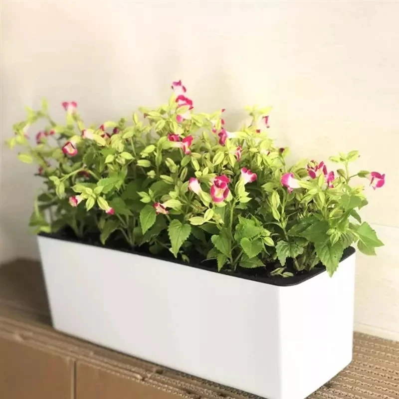 Rectangula Lazy Flower Pot Pot - Automatic Plant Waterer review and price