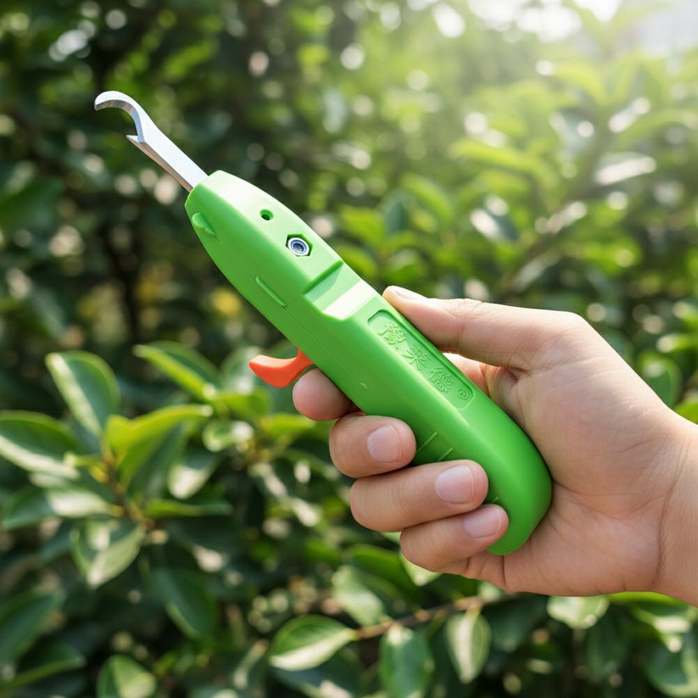 Fruit Vegetable Quick Picking  - Gardening Tools Vegetables review and price